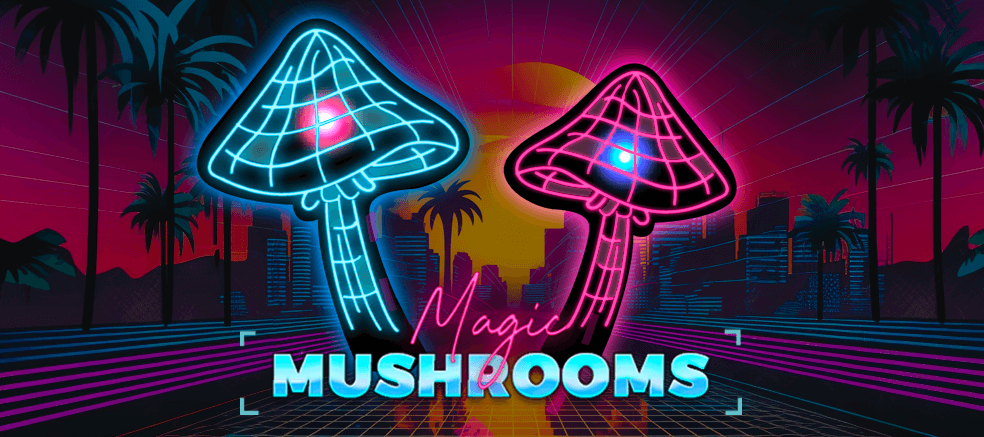 Buy magic mushrooms online in Canada
