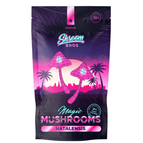 Natalensis Magic Mushroom