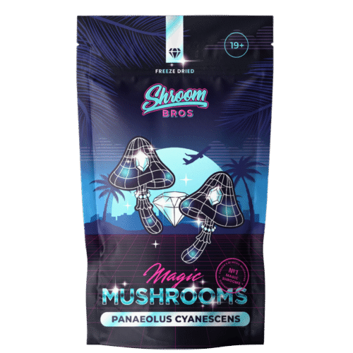 Panaeolus Cyanescens Magic Mushroom (Freeze Dried)